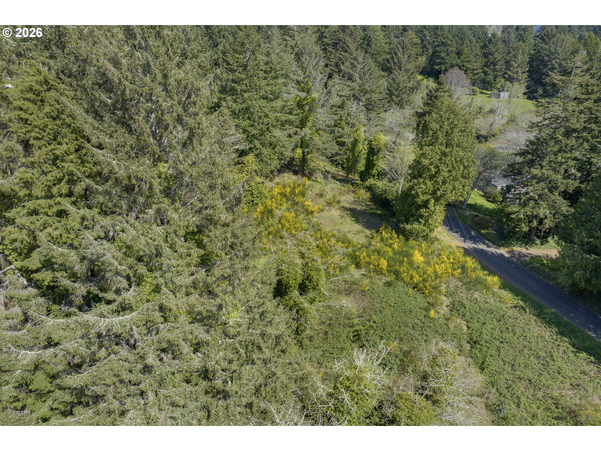 5285 Herman Cape Road Florence, OR 97439 - Photo 12 of 13 a view of a field of grass and trees