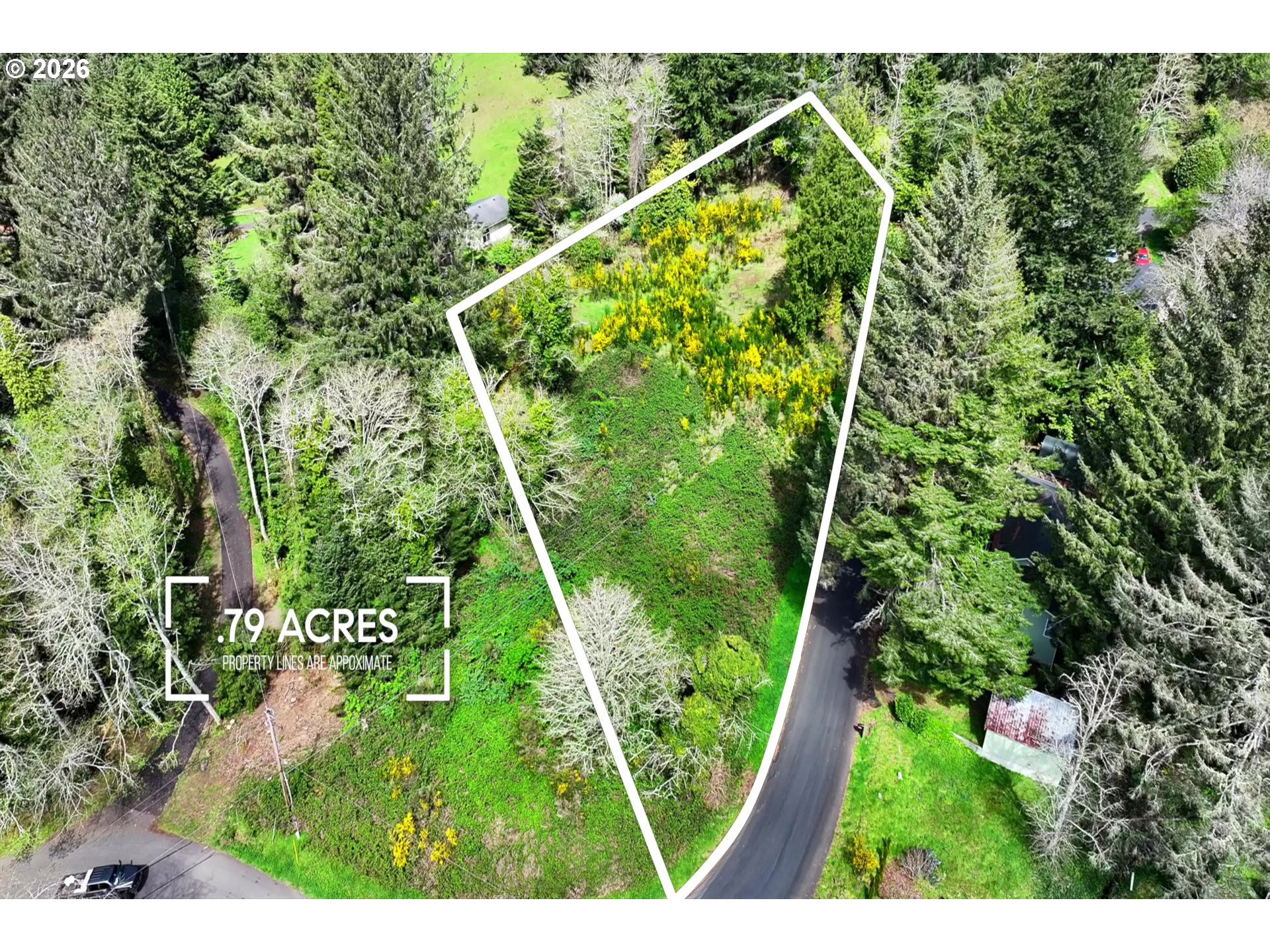 5285 Herman Cape Road Florence, OR 97439 - Photo 2 of 13 a view of a yard with plants