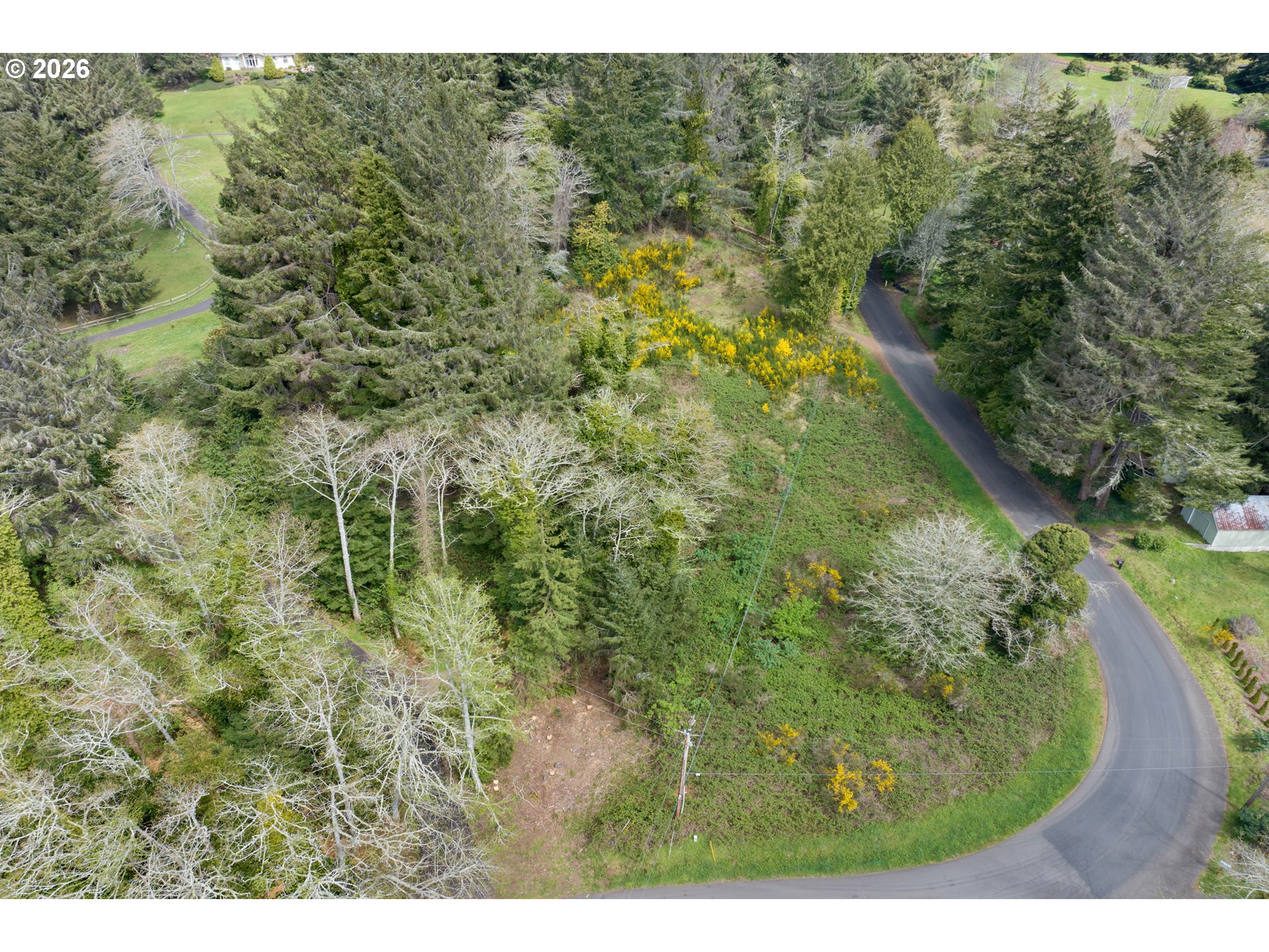 5285 Herman Cape Road Florence, OR 97439 - Photo 3 of 13 a view of a forest with a street