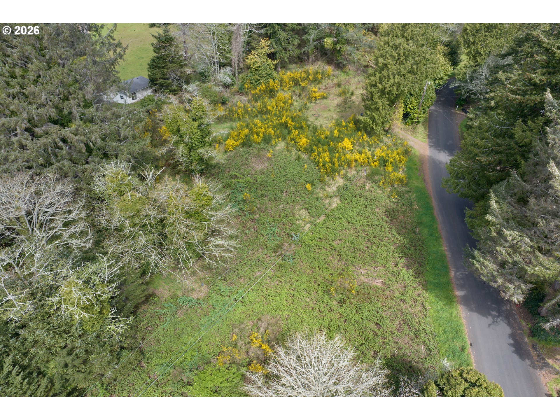 5285 Herman Cape Road Florence, OR 97439 - Photo 4 of 13 a view of a forest with a street