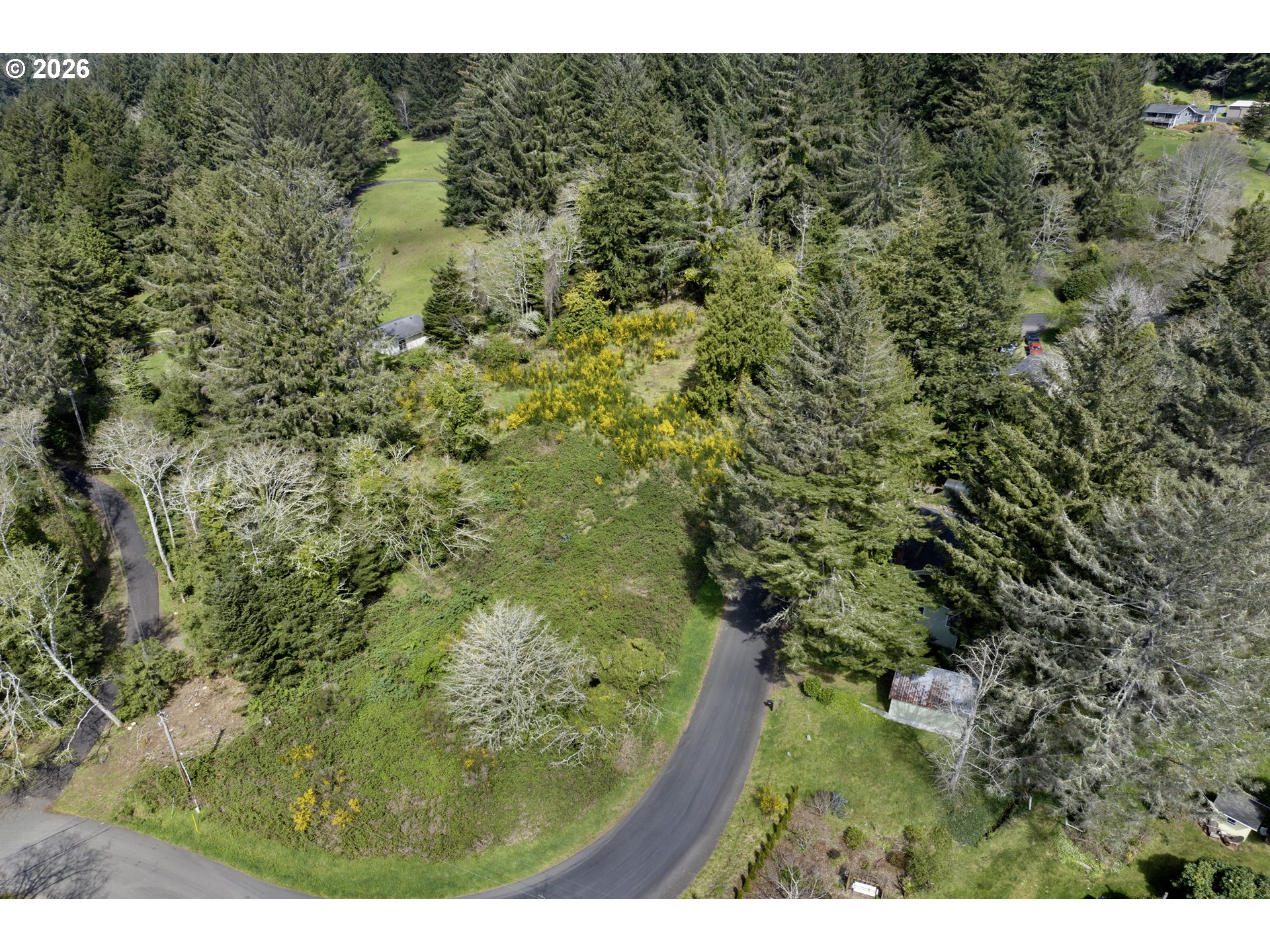 5285 Herman Cape Road Florence, OR 97439 - Photo 5 of 13 a view of a forest with a street