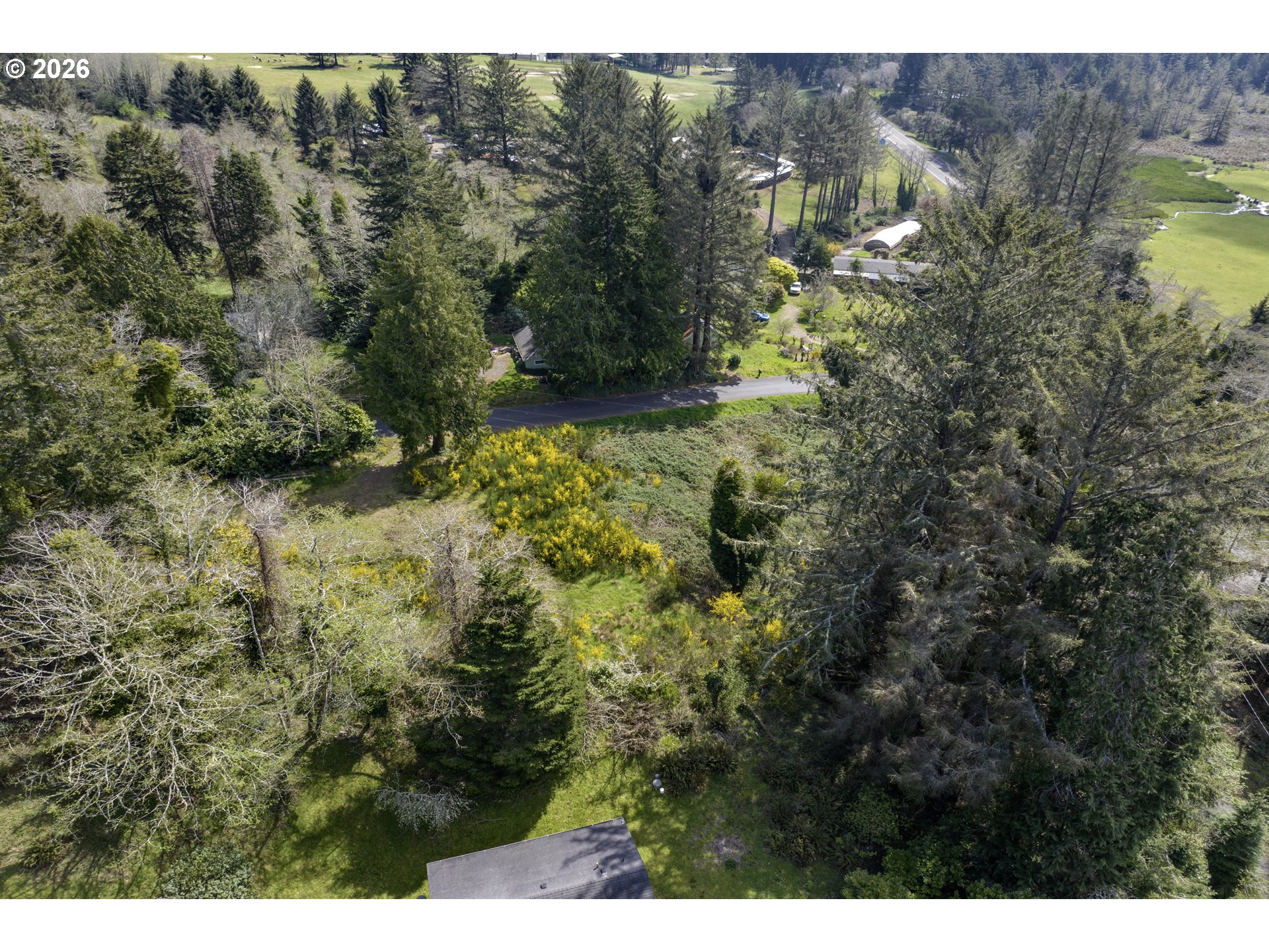 5285 Herman Cape Road Florence, OR 97439 - Photo 6 of 13 a view of a yard with a tree