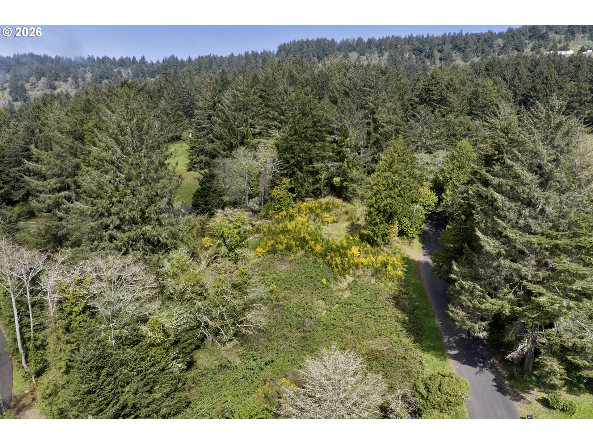 5285 Herman Cape Road Florence, OR 97439 - Photo 7 of 13 a view of a lush green forest with a mountain in the background