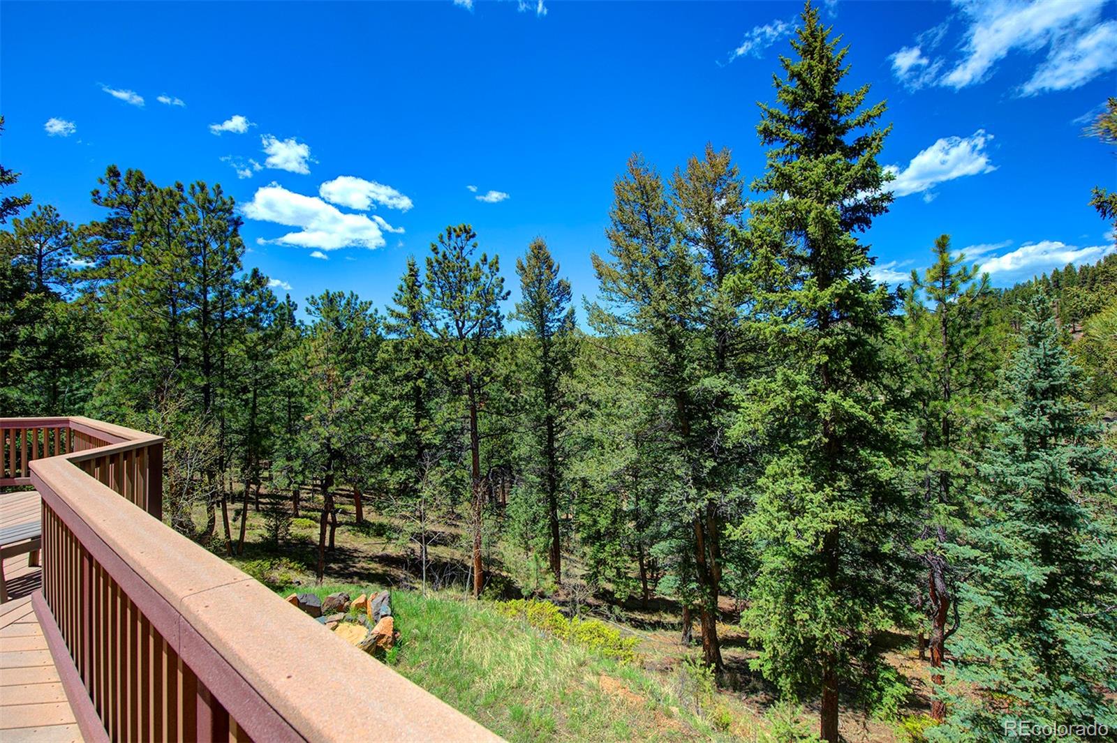 3611 Nova Road Pine, CO 80470 - Photo 2 of 35 Gallery Image 2