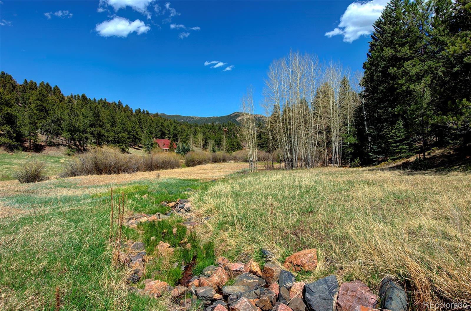 3611 Nova Road Pine, CO 80470 - Photo 25 of 35 Gallery Image 25