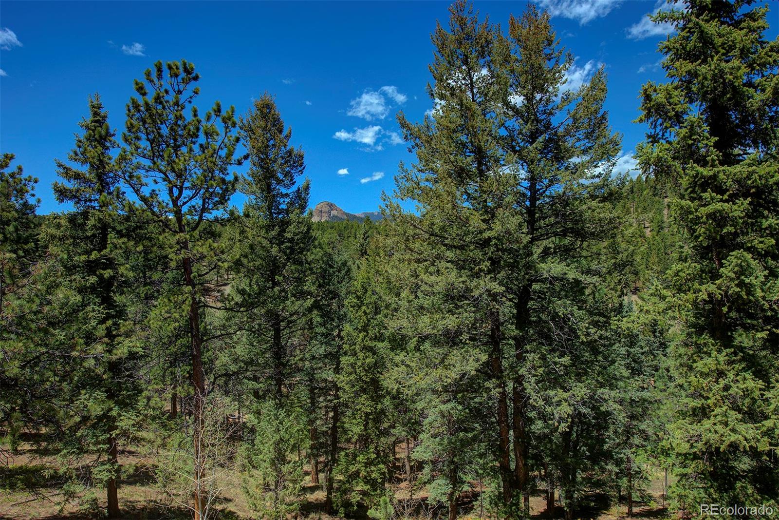 3611 Nova Road Pine, CO 80470 - Photo 30 of 35 Gallery Image 30
