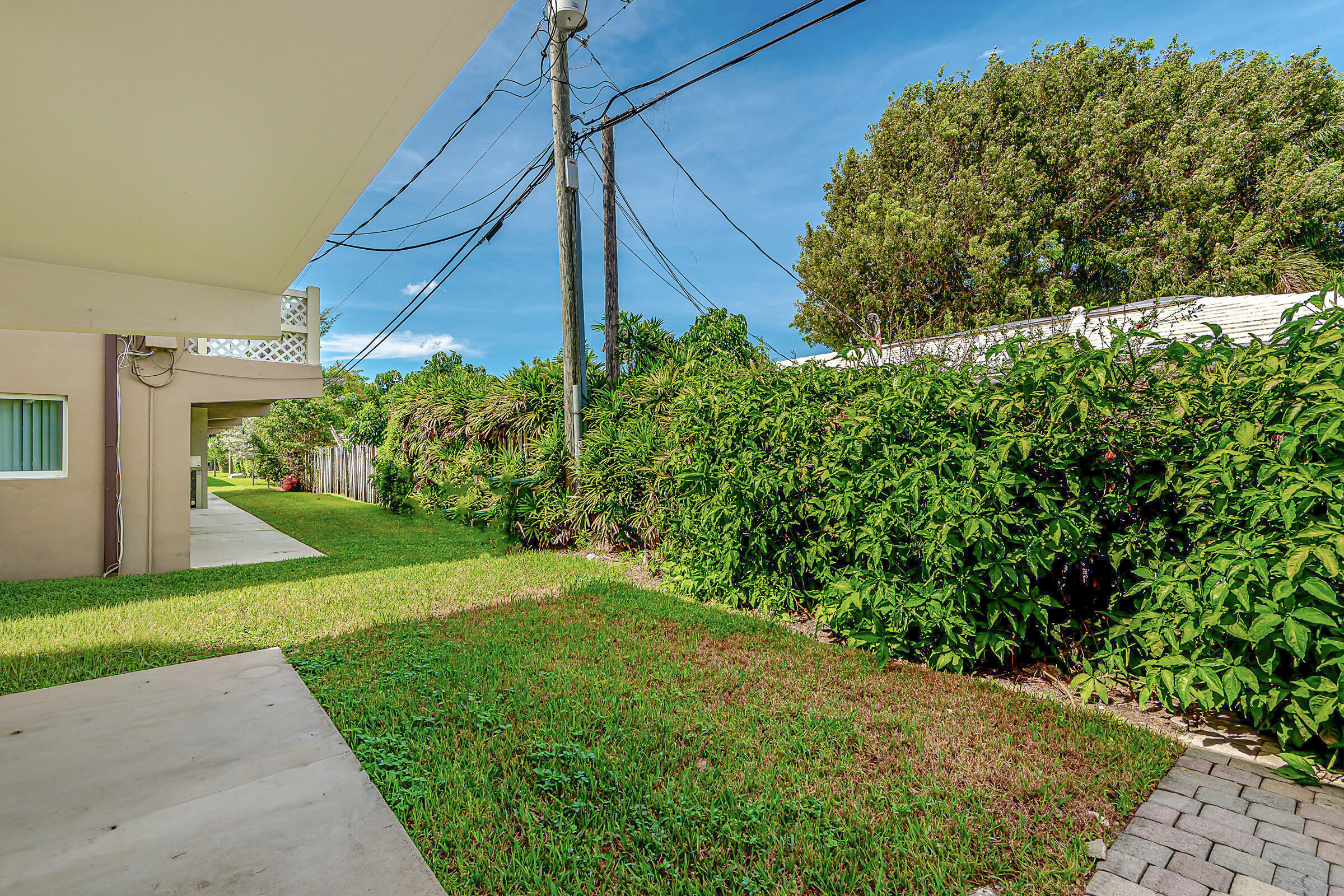 2131 Northeast 40th Court, Unit 1 Lighthouse Point, FL 33064 - Photo 15 of 16 a view of a backyard with plants