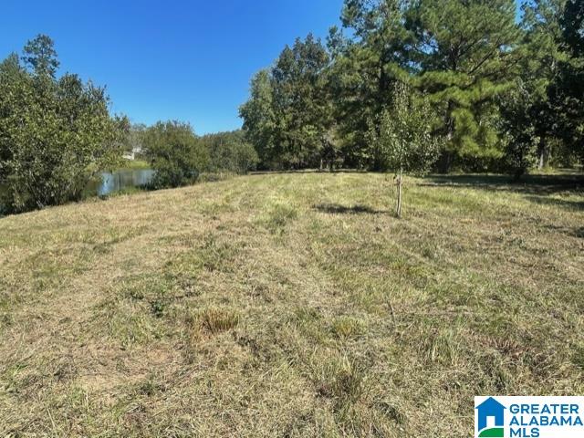 0 Paradise Point Drive Columbiana, AL 35051 - Photo 11 of 23