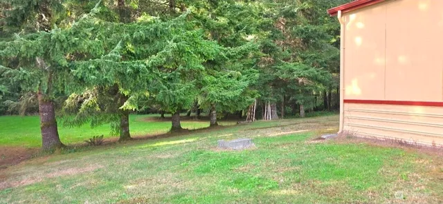 a side view of a house with a yard
