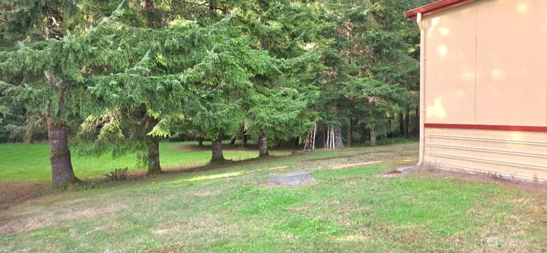 17 Rustemeyer Road, Unit 10 Aberdeen, WA 98520 - Photo 21 of 22 a view of a yard with a tree