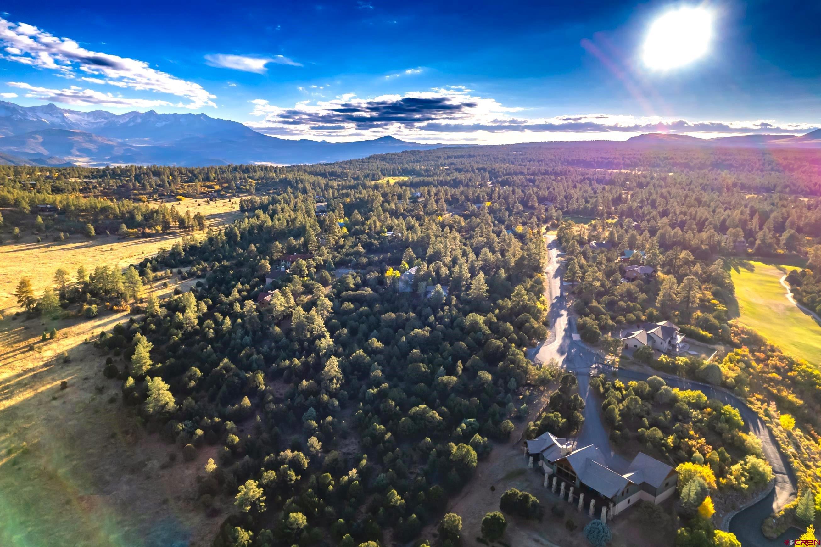 206 Woodchuck Place Ridgway, CO 81432 - Photo 2 of 3