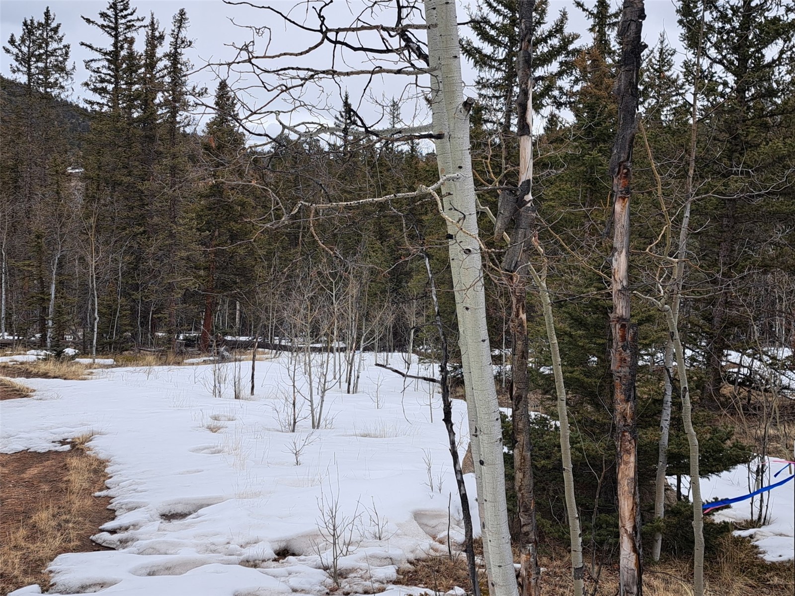 80 Haida Road Como, CO 80456 - Photo 26 of 31 a view of a backyard of the house