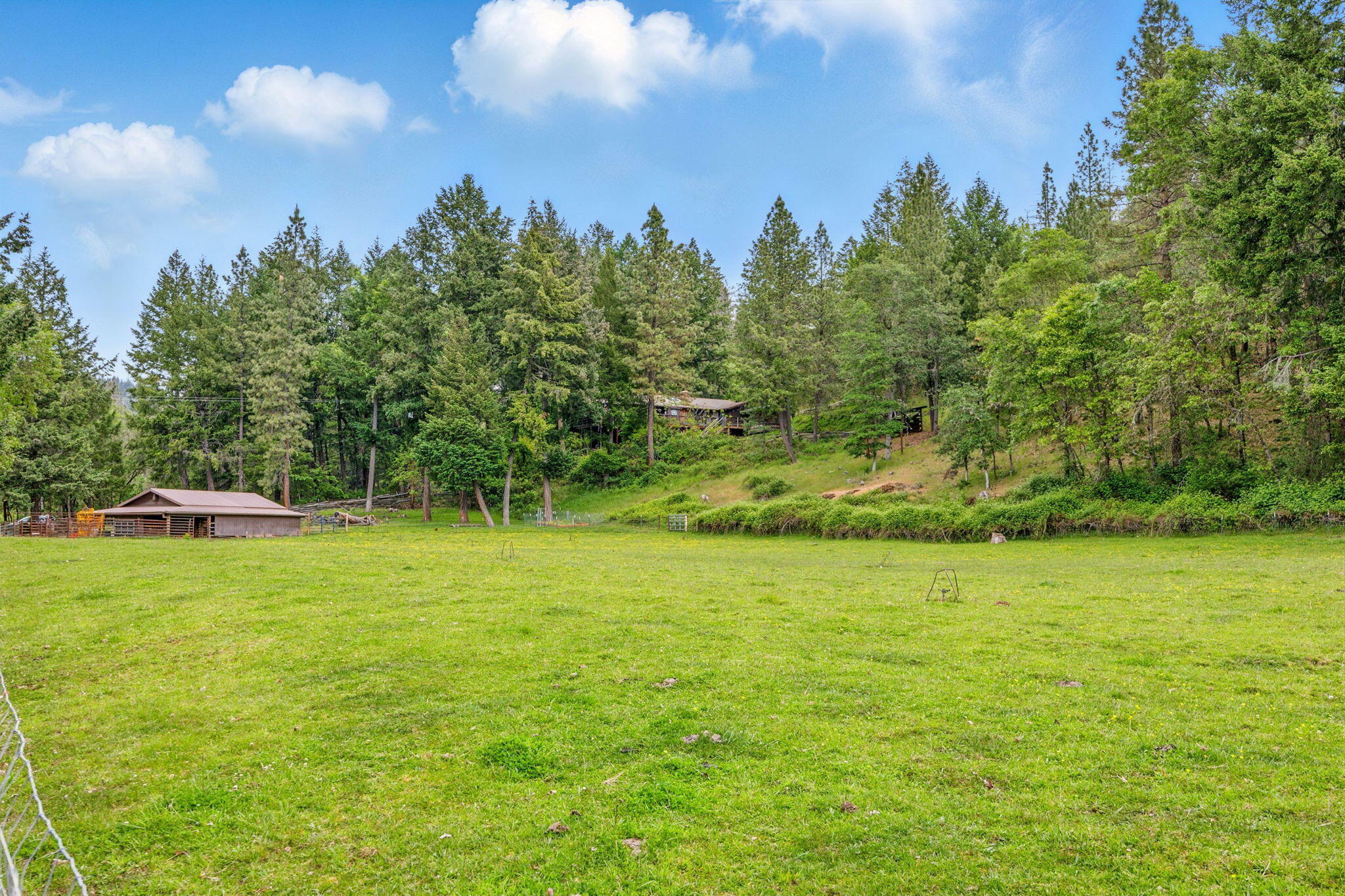 850 Elk Creek Road Trail, OR 97541 - Photo 45 of 69 2 (6)