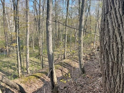 0 Mill Street Dundee, NY 14837 - Photo 12 of 16