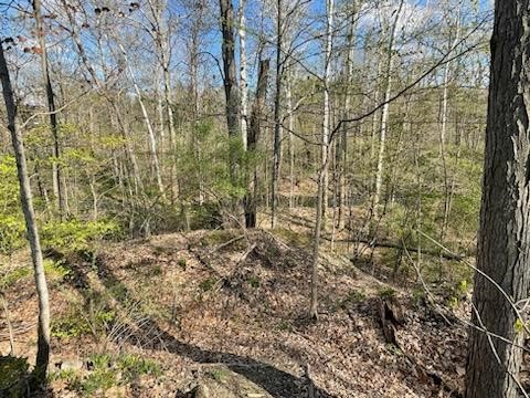 0 Mill Street Dundee, NY 14837 - Photo 13 of 16