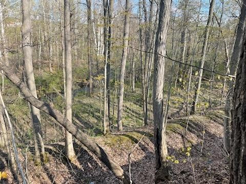 0 Mill Street Dundee, NY 14837 - Photo 14 of 16