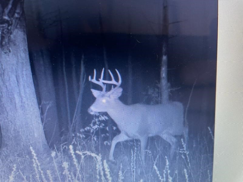 0 Mill Street Dundee, NY 14837 - Photo 15 of 16