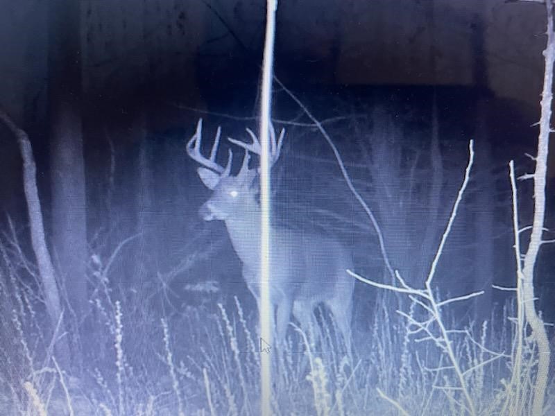 0 Mill Street Dundee, NY 14837 - Photo 16 of 16