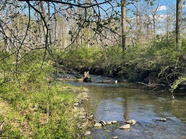 0 Mill Street Dundee, NY 14837 - Photo 2 of 16