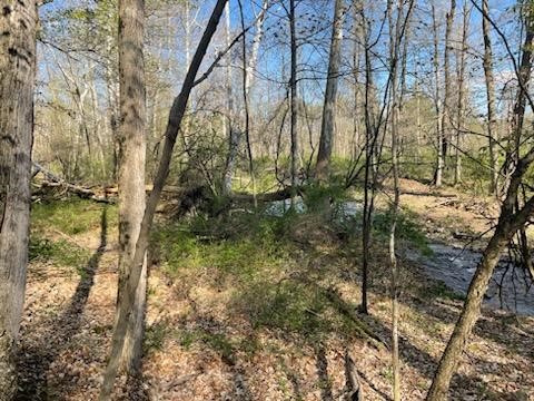 0 Mill Street Dundee, NY 14837 - Photo 3 of 16