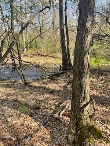 0 Mill Street Dundee, NY 14837 - Photo 4 of 16