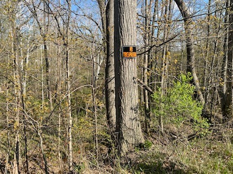 0 Mill Street Dundee, NY 14837 - Photo 5 of 16