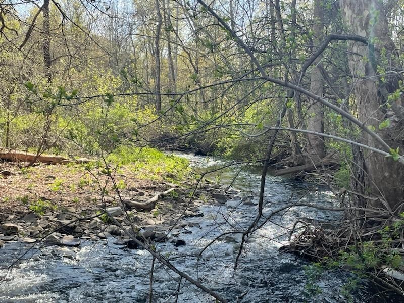 0 Mill Street Dundee, NY 14837 - Photo 8 of 16