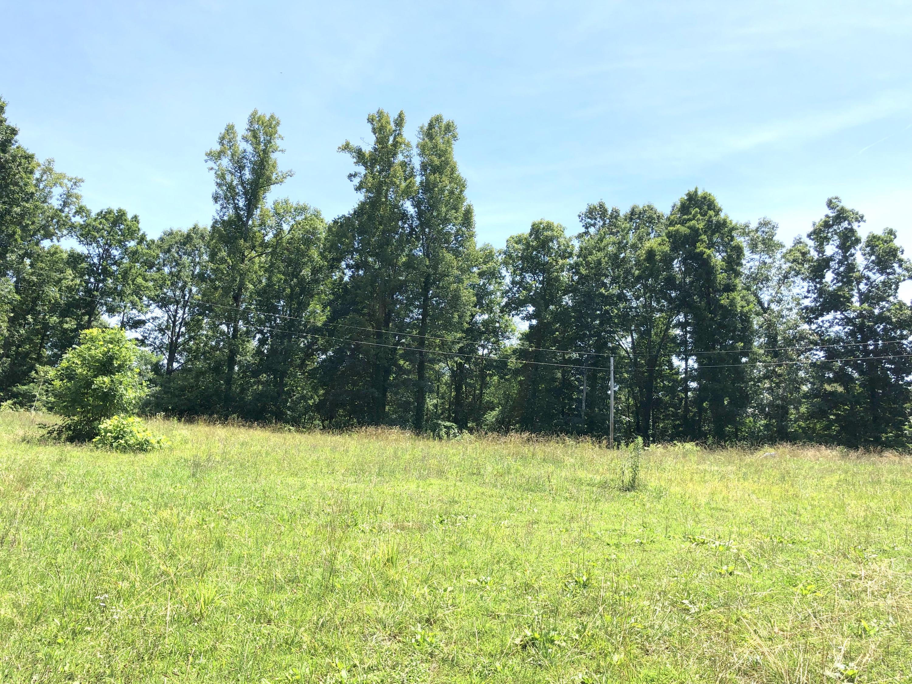 533 Sugar Hollow Road La Follette, TN 37766 - Photo 12 of 18 IMG_3194