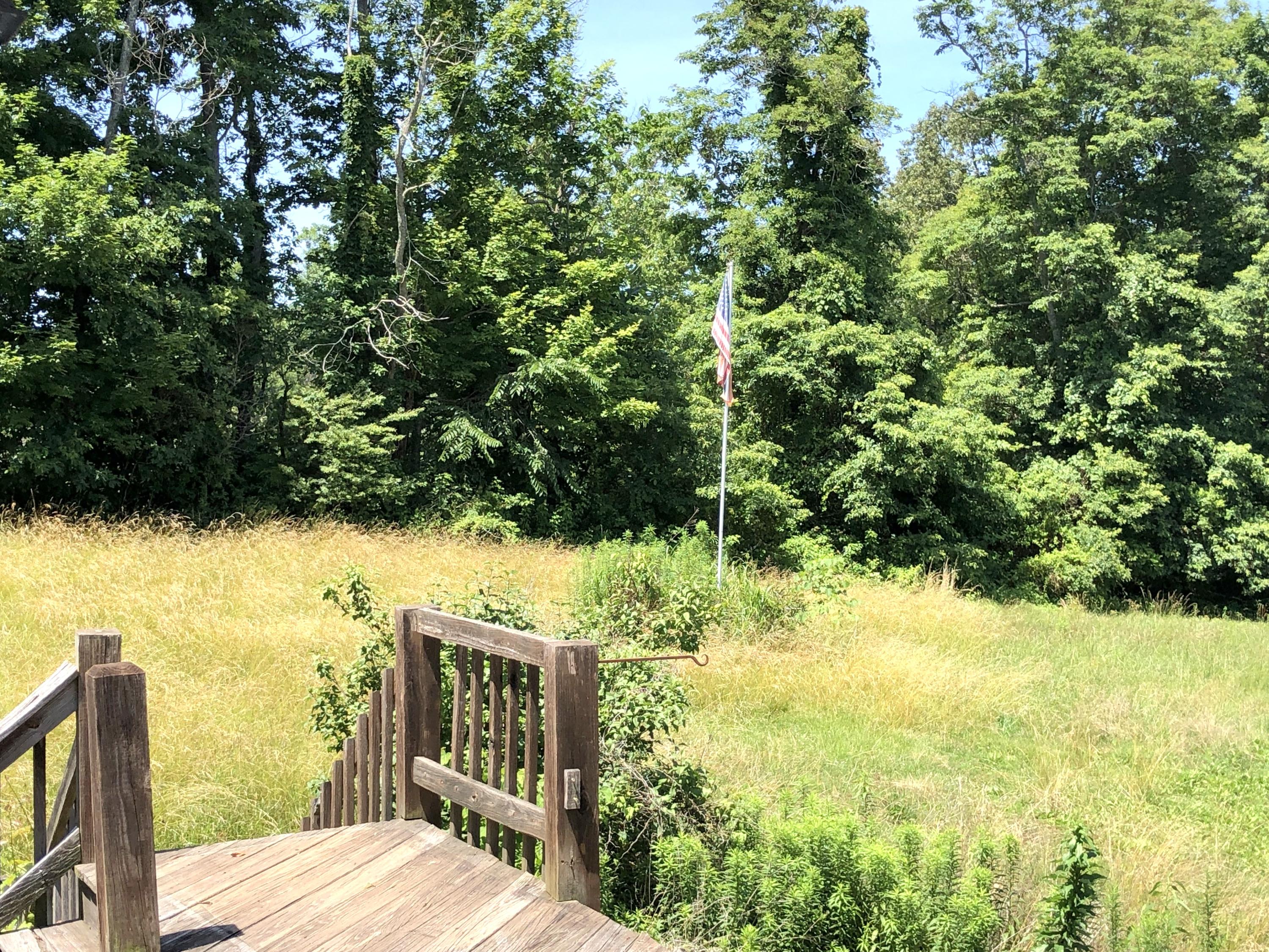 533 Sugar Hollow Road La Follette, TN 37766 - Photo 17 of 18 IMG_3209