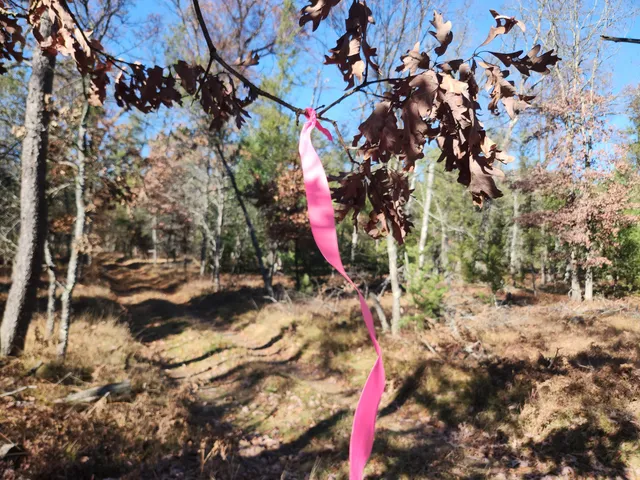 $69,900 | 6545 West (hb Road) Baldwin Mi 49304, Irons, MI 49644