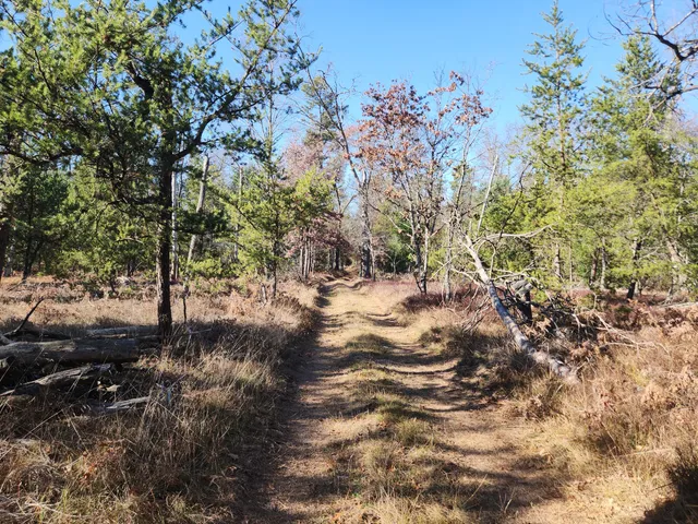 $69,900 | 6545 West (hb Road) Baldwin Mi 49304, Irons, MI 49644