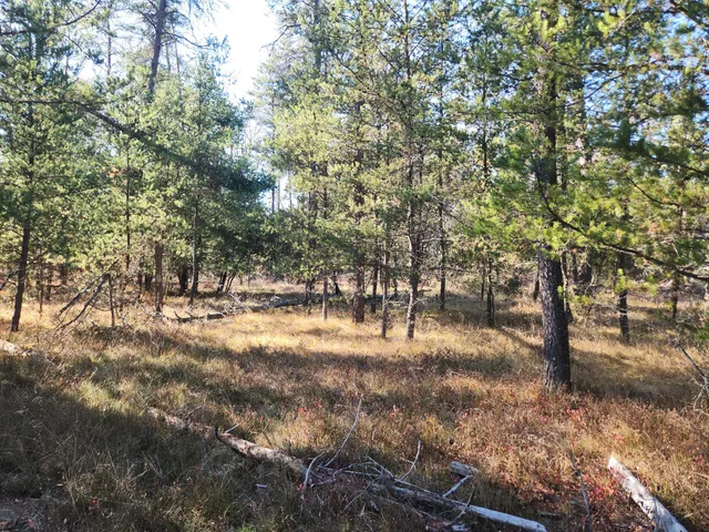 $69,900 | 6545 West (hb Road) Baldwin Mi 49304, Irons, MI 49644