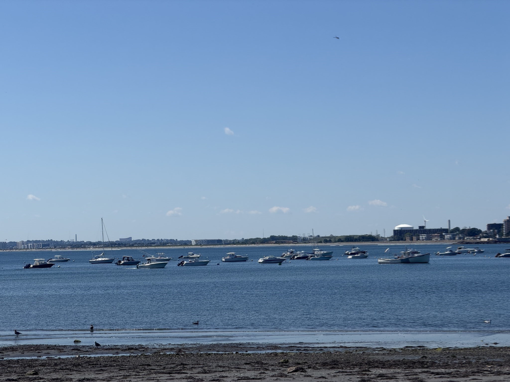 74 Puritan Road Swampscott, MA 01907 - Photo 27 of 28 Gallery Image 27