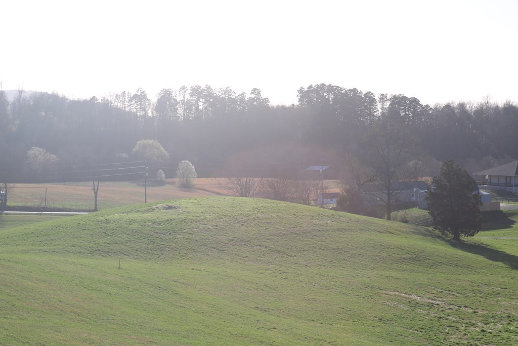 20 County Line Road Sevierville, TN 37876 - Photo 4 of 7 Gallery Image 4