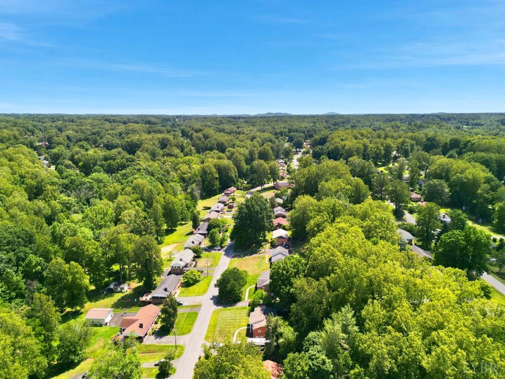 480 Winding Way Road Lynchburg, VA 24502 - Photo 41 of 44