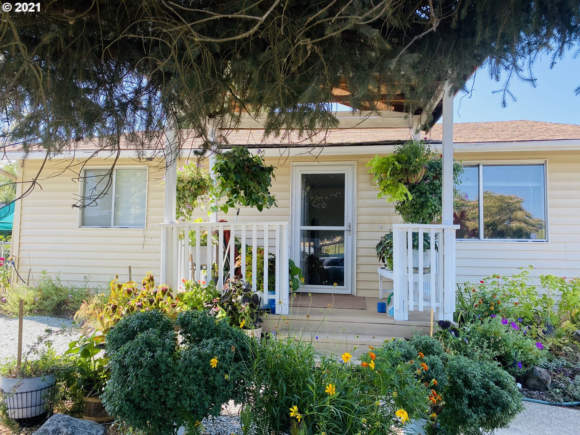 233 Rico Boulevard Riddle, OR 97469 - Photo 1 of 20