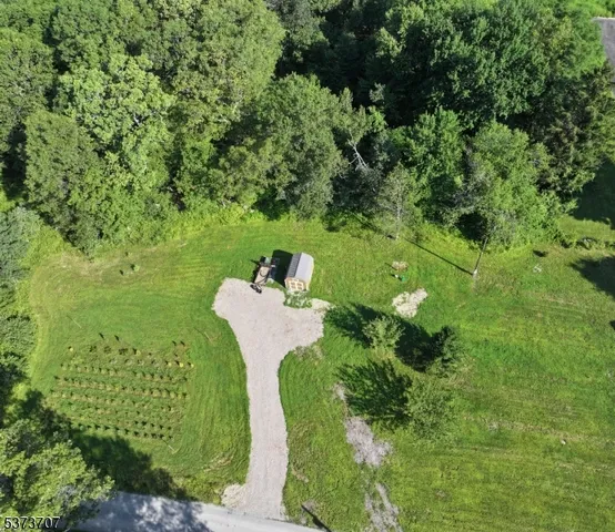 a view of a garden with a fountain
