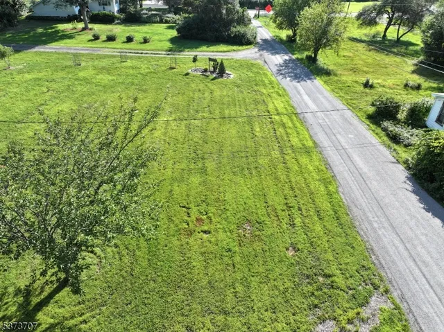 a view of a garden with a bench