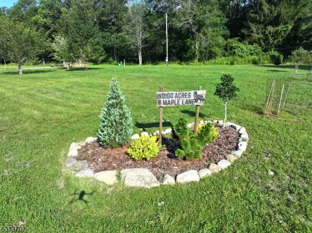 a view of a park with large trees