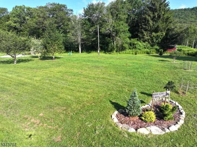 a view of a park with large trees