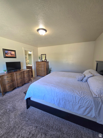 601 West 150 North, Unit 25 Springville, UT 84663 - Photo 15 of 29 Carpeted room with a ceiling-mounted light fixture
