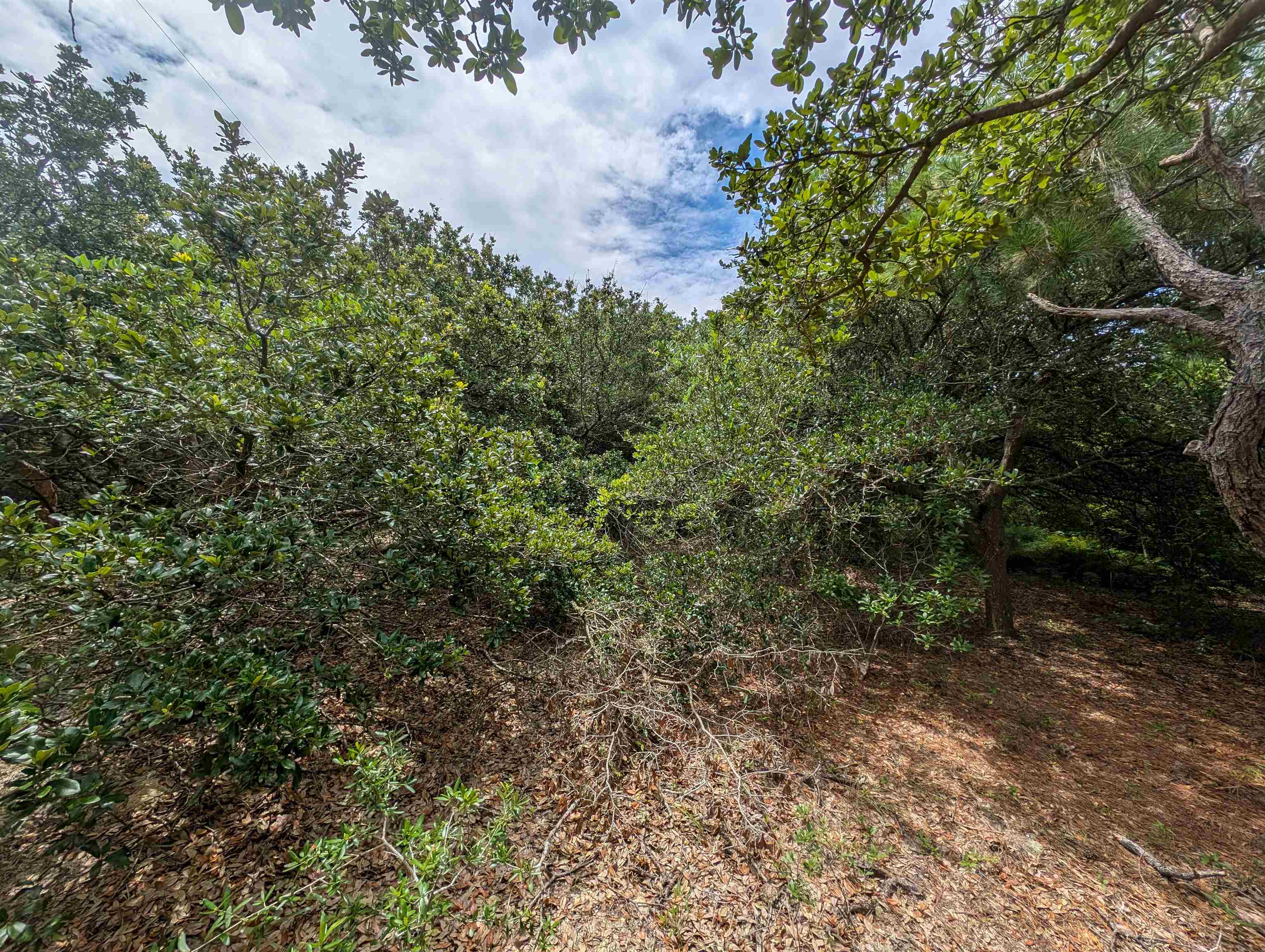 2362 Sandpiper Road Corolla, NC 27927 - Photo 9 of 13