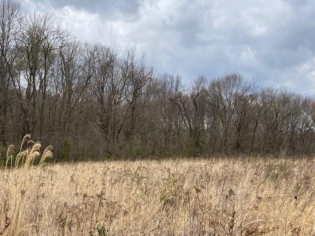 0 Mt Olive Road Rockbridge, OH 43149 - Photo 2 of 8 Mt Olive Field 2