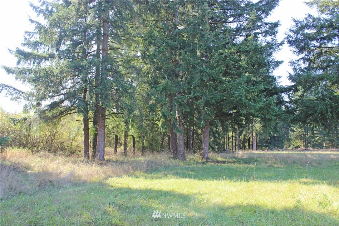 9835 James Road Southwest Rochester, WA 98579 - Photo 11 of 39 Gallery Image 11