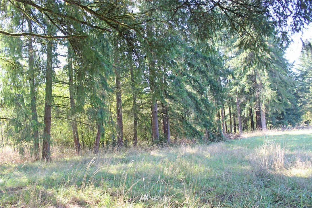 9835 James Road Southwest Rochester, WA 98579 - Photo 33 of 39 Gallery Image 33