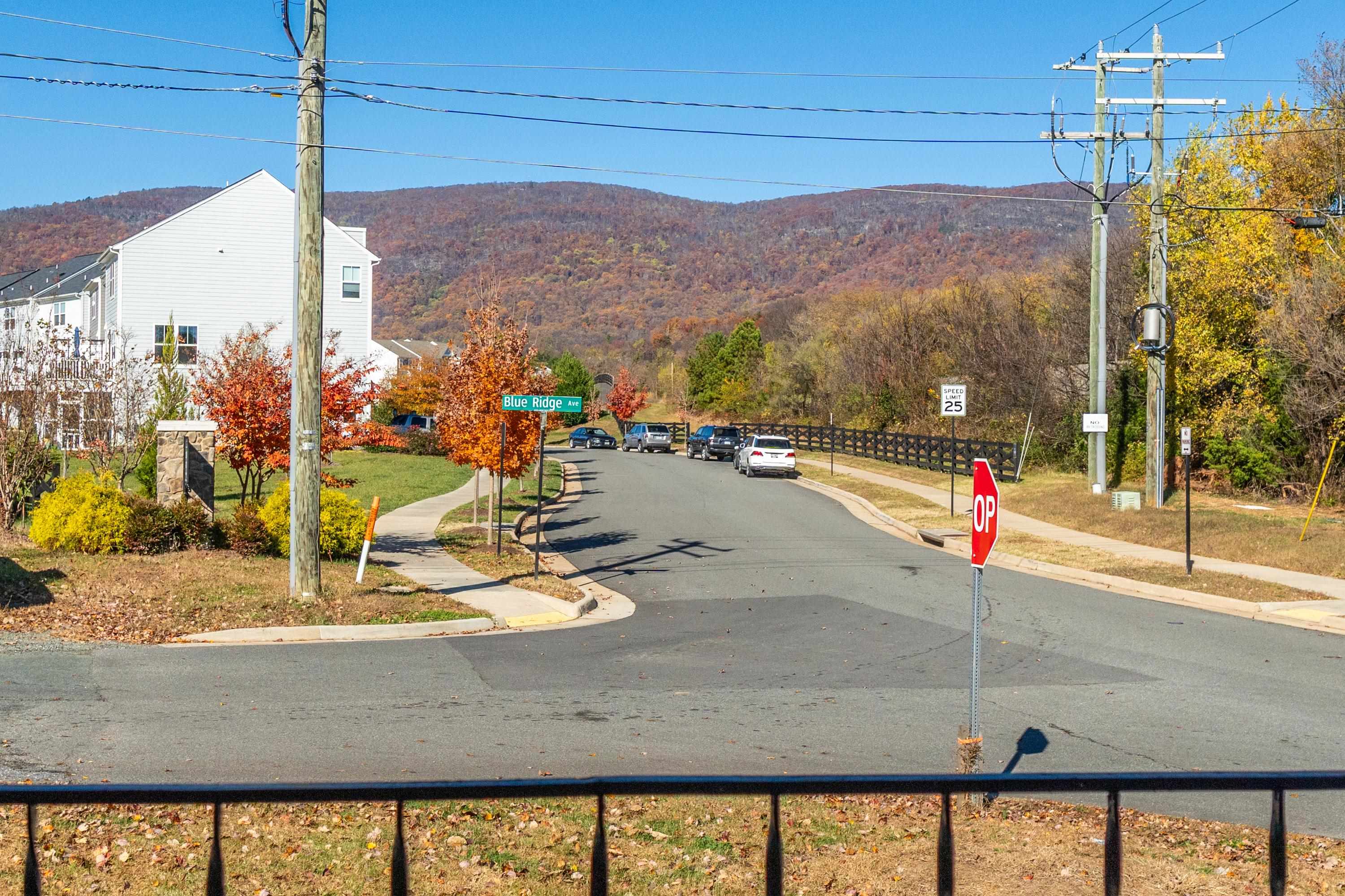 1261 Blue Ridge Avenue Crozet, VA 22932 - Photo 5 of 25 a view of a swimming pool with a lounge chairs