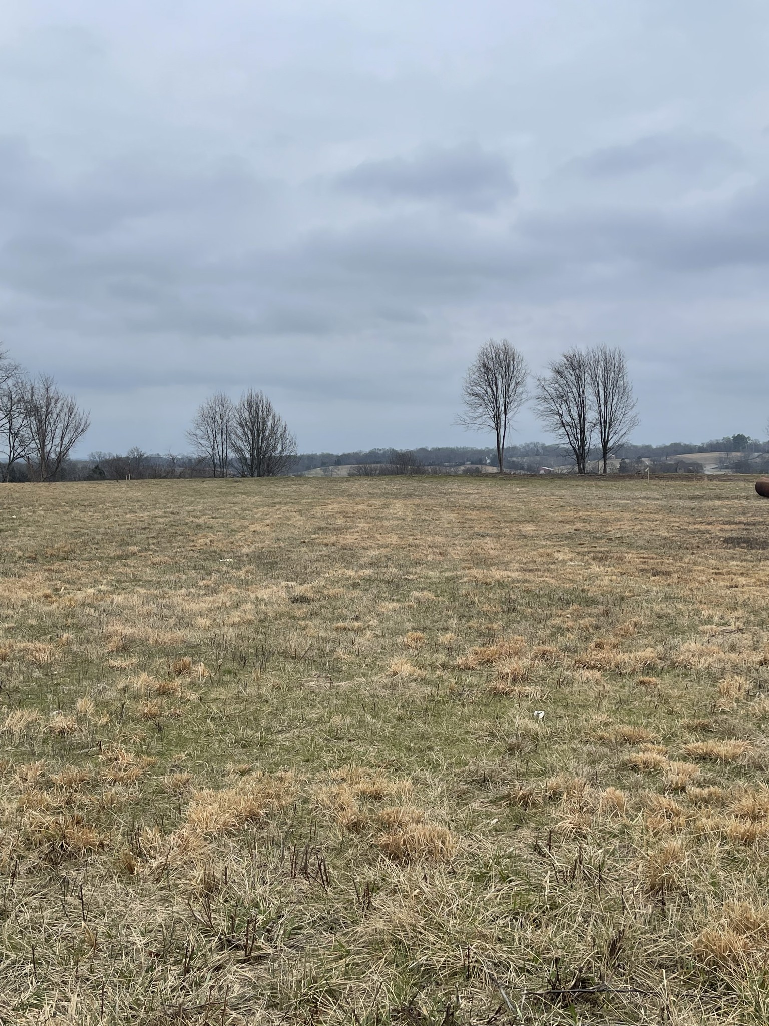 0 Horns Springs Road Lebanon, TN 37087 - Photo 2 of 4 a view of an ocean