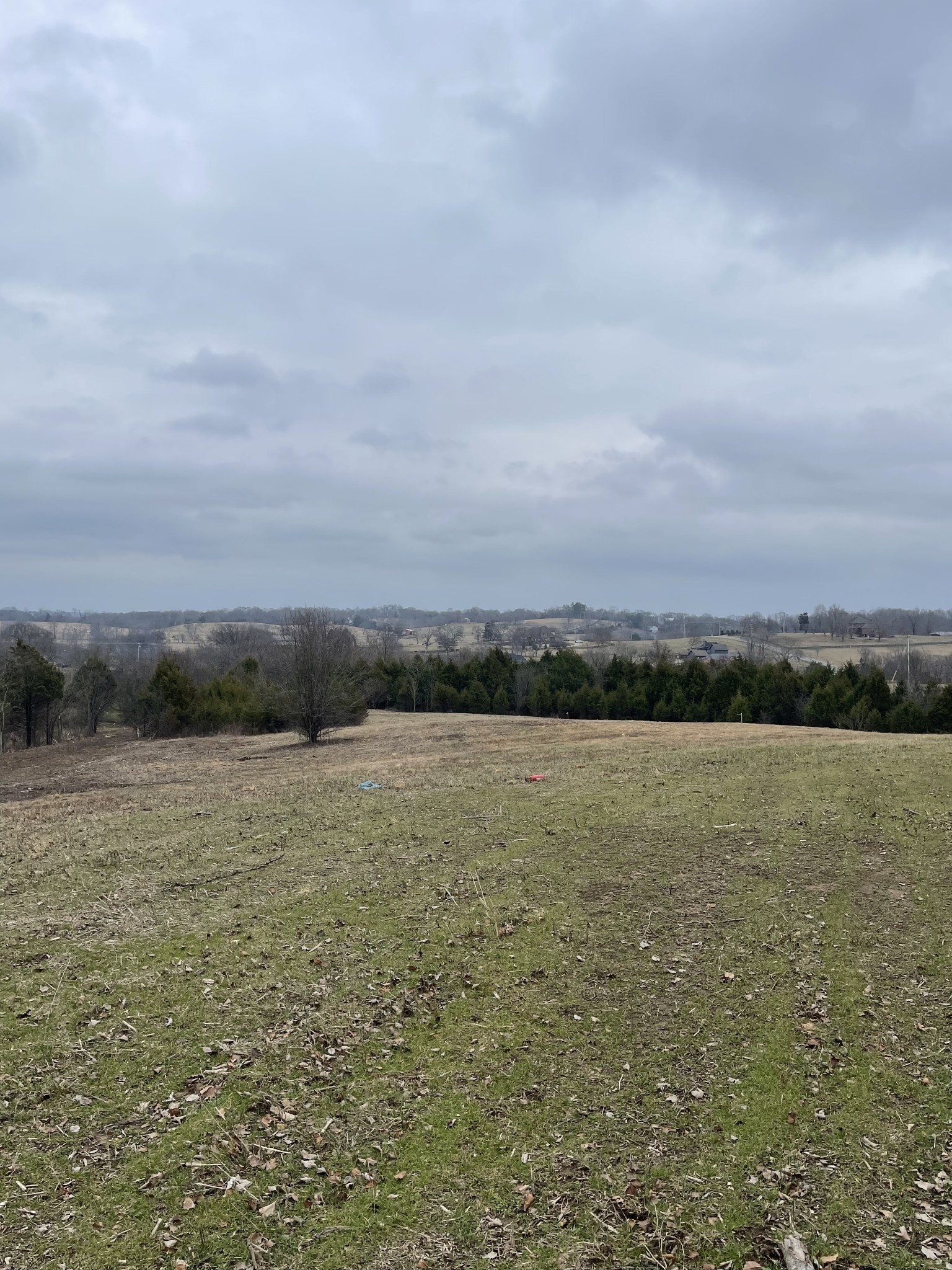 0 Horns Springs Road Lebanon, TN 37087 - Photo 3 of 4 a view of an ocean and beach