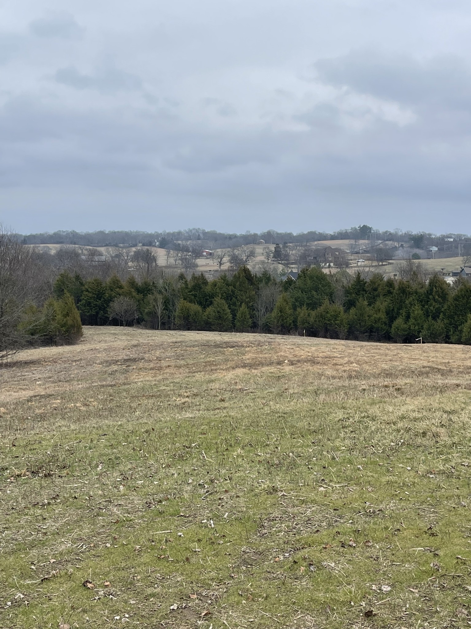 0 Horns Springs Road Lebanon, TN 37087 - Photo 4 of 4 a view of mountain with lake view