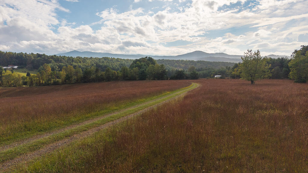 519 Roberson Mill Road Southeast Floyd, VA 24091 - Photo 65 of 79 a view of an outdoor space with mountain view